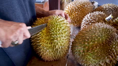 Person-trying-to-cut-durian-fruit-in-half-using-sharp-knife,-close-up-view