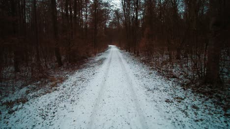 drone flys between trees and a path