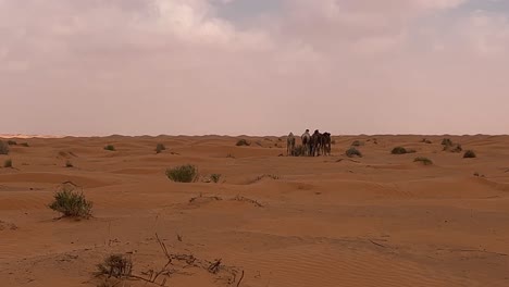 vista trasera de camellos dromedarios caminando por el desierto del sahara de túnez en un día nublado