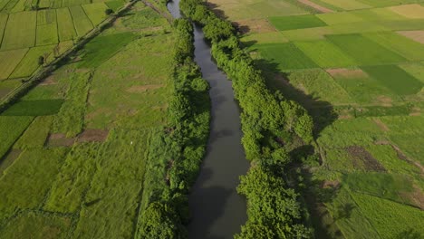 Luftaufnahme-Eines-Tropischen-Landes