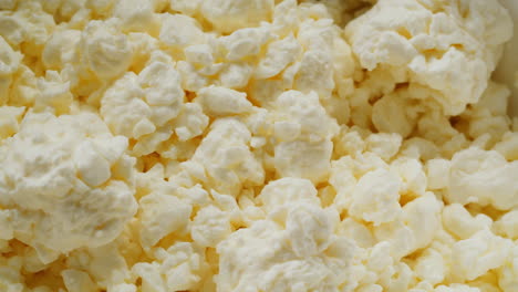 el queso cottage es un primer plano.