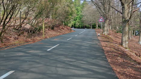 winding road curving forest in autumn. empty pathway surrounded by nature trees