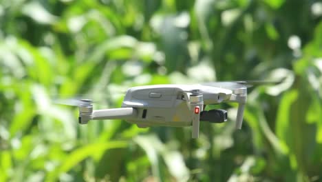 farmer farming, smart agriculture, cereal farming, tablet, drone technology, smart agriculture precision farming