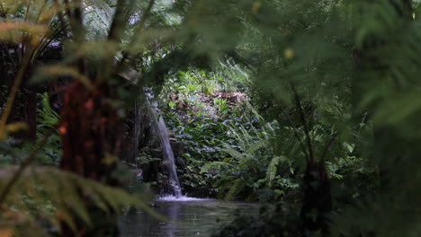 vista serena de una pequeña cascada que fluye con gracia en el lago, enmarcada por exuberantes plantas verdes del bosque