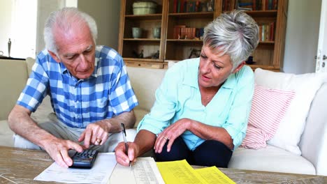 Pareja-Mayor-Calculando-Sus-Facturas-En-El-Salón