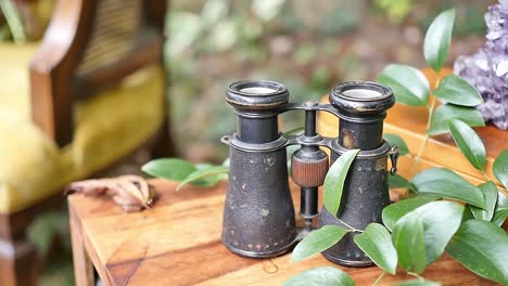 view of vintage binoculars on a wooden table outside in nature, retro style, close up