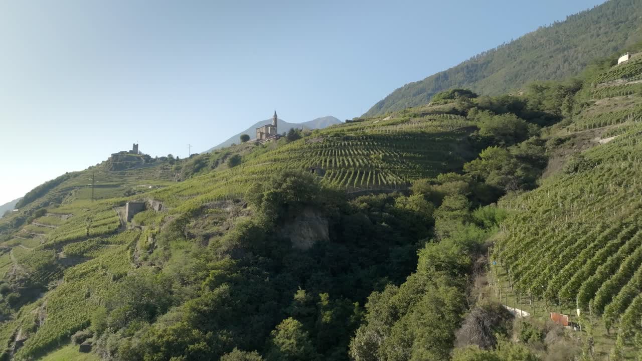 Italia del Nord, vicino a Sondrio, tipici vigneti terrazzati.