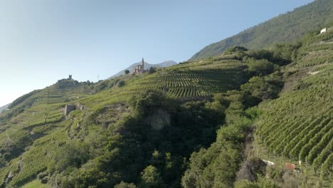 norte de italia, cerca de sondrio, viñedos típicos creados a partir de terrazas