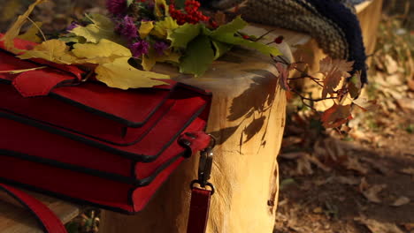 Close-up-view-of-red-bag-resting-on-bench-in-garden-with-yellow-maple-leaves-resting-on-it