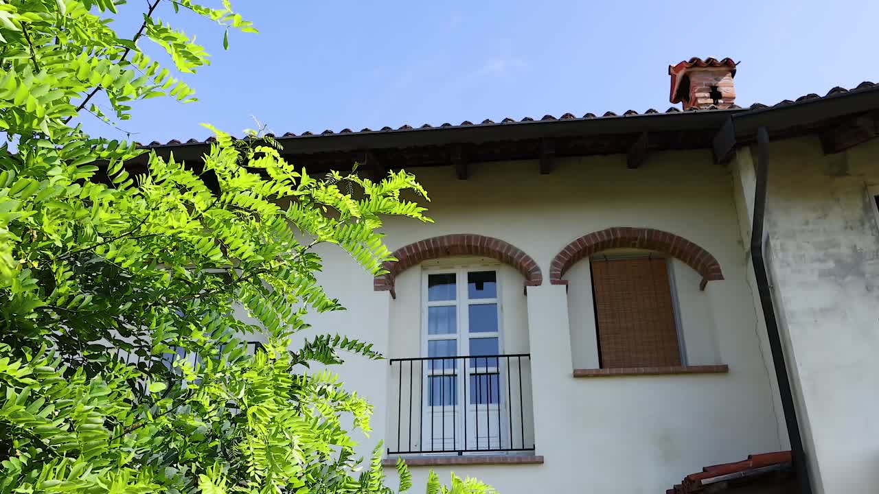 y el árbol que construye bajo un cielo azul claro