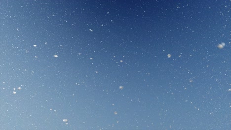 Snowy Sky