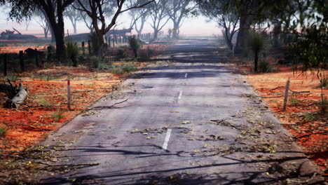 a long, empty road in the australian outback