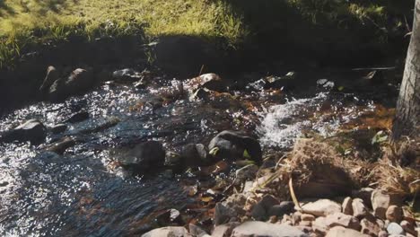 fresh water creek in scotland - slow motion