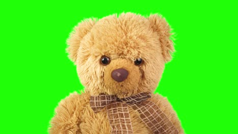 teddy bears on a green background. chroma key. green screen