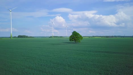 aerial view of wind turbines generating renewable energy in the wind farm, sunny summer day, lush green agricultural cereal fields, lone oak tree, countryside roads, wide drone dolly shot moving right