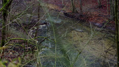 view through branches of a river in the forest. a gloomy autumn day, with decayed leaves and fallen branches on the shore