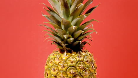 una piña entera madura en una superficie giratoria