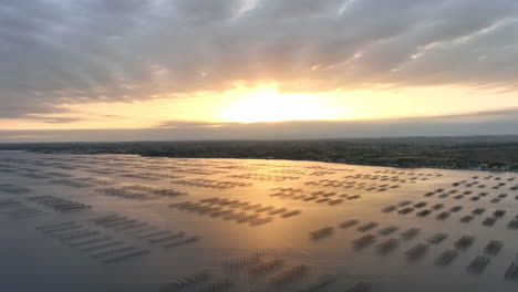 vista aérea al atardecer: etang de thau brilla con tonos de oro, donde las ostras