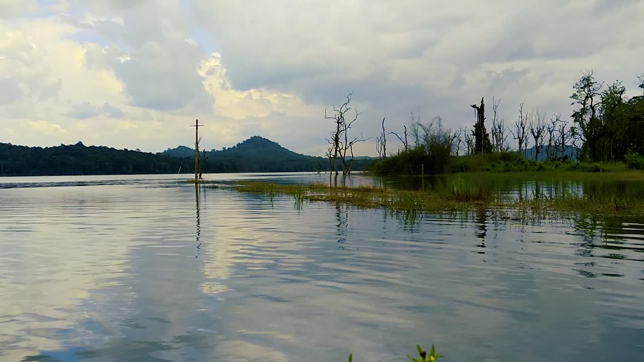 푸른 잔디와 물 속에 서있는 죽은 나무가있는 작은 호수를 가로 질러 산들 바람이 불고 있습니다.