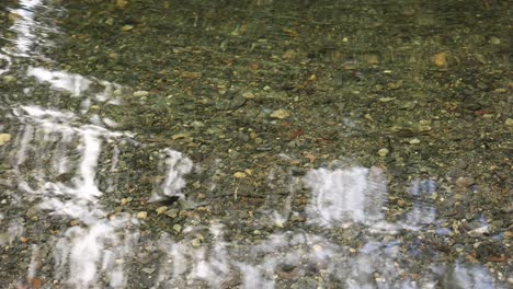 clear water flowing over submerged river stones