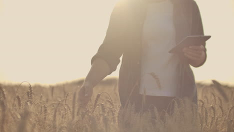 Joven-Agricultora-Trabajando-Con-Tableta-En-El-Campo-Al-Atardecer.-El-Propietario-De-Un-Concepto-De-Pequeña-Empresa.