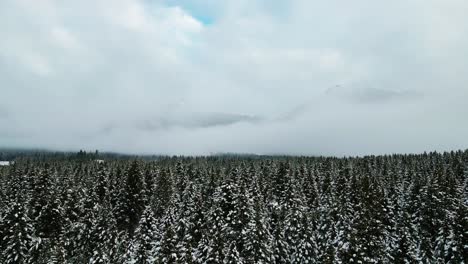 加拿大不列颠哥伦比亚省的雪地森林和云彩覆盖的山景的逆向空中景观:从无人机的角度来看,冬季奇迹之地的倒飞