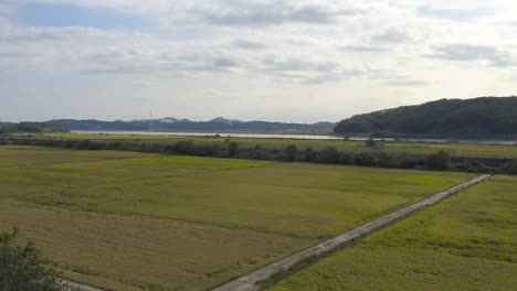 Campo-De-Arroz-En-Imjingak-Por-El-Dmz-Con-Vistas-A-Corea-Del-Norte,-En-Munsan,-Paju,-Gyeonggi-do,-Corea-Del-Sur