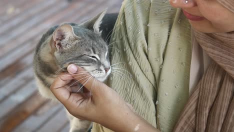 a woman petting a grey cat