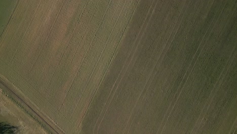 Vista-De-Pájaro-De-Un-Campo-Verde-En-Una-Ladera-Sin-Cultivos