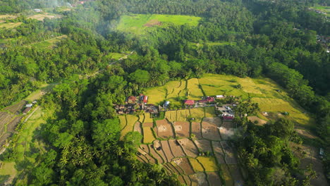 Aerial-over-rice-fields-in-Ubud,-Bali,-Indonesia