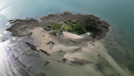 toma aérea de una isla tupida cerca de soldiers point en salamander bay, nueva gales del sur, australia