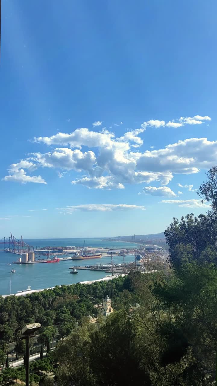 Vista panoramica di una vivace città portuale con navi e gru