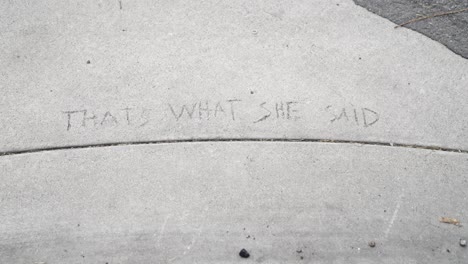 pavement with "thats what she said" imprinted by finger on urban sidewalk - close up