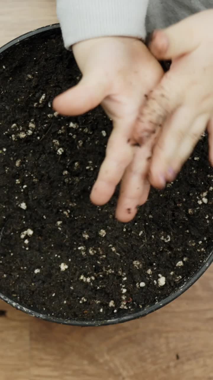 Toddler planting seeds in soil. Close up of toddlers hands with a pot full of dirt at home. Adult parenting and eco living.