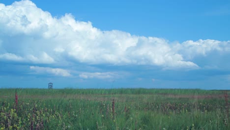 time lapse of beautiful white fast moving puffy cumulus clouds at footbridge path and birdwatching tower at lake liepaja reed field in sunny summer day, wide shot