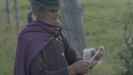 slow-motion shot of an elderly woman still working and helping out around the farm