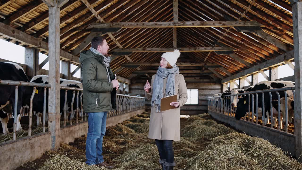 Farmers discussing cattle care in a barn