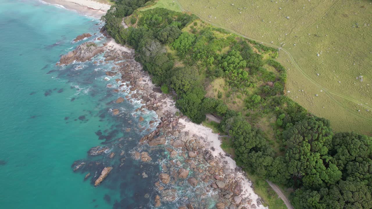 Aerial View of a Scenic Coastal Landscape with Beach, Forest, and Town