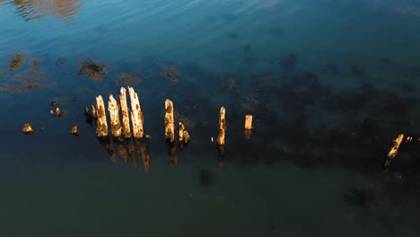 slow aerial slide along the decaying posts of an old dock in a maine cove