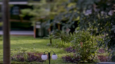 la transición de la noche al día se desarrolla en un cautivador time-lapse del jardín
