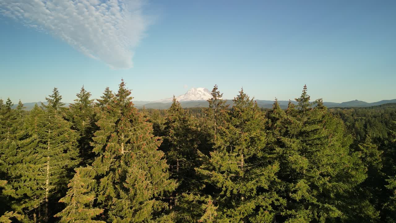 Drone footage of Mount Rainier towering over a sprawling evergreen forest with clear blue skies and wispy clouds