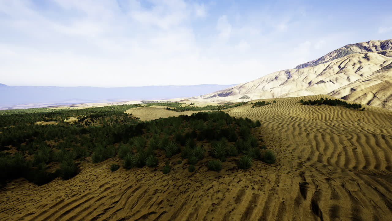 Majestic desert landscape showcasing rolling dunes and lush vegetation