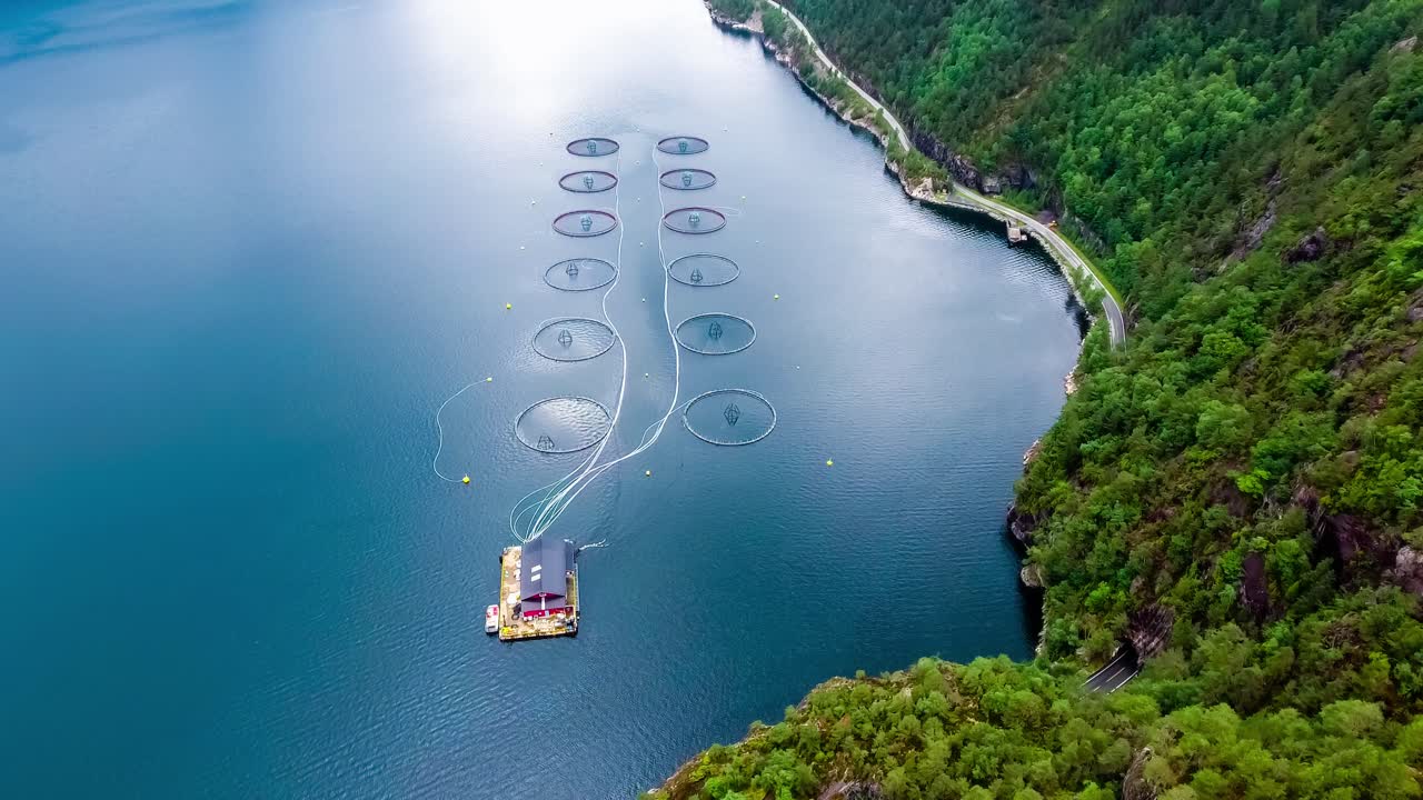 노르웨이에서 연어  ⁇ 시를 하는 공중 촬영