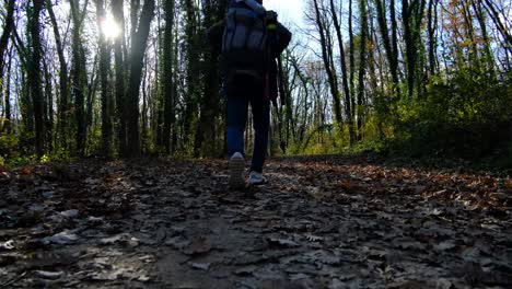 hombre campista en el camino de otoño