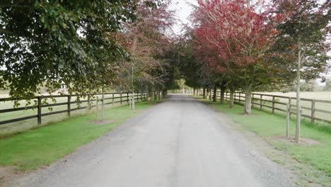 Zu-Fuß-Auf-Einer-Einfahrt-Oder-Einem-Weg-In-Richtung-Einer-Irischen-Farm-Oder-Eines-Anwesens