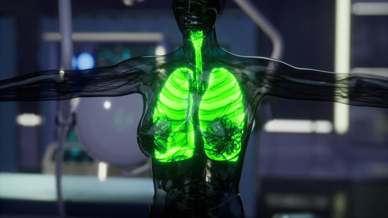 Lungs detail showing oxygen flow and structure in a medical setting