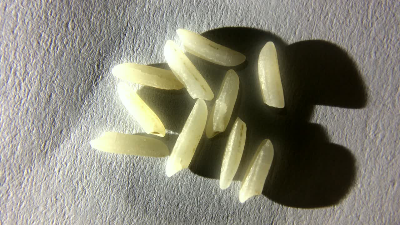 회전의 거시적 시각.