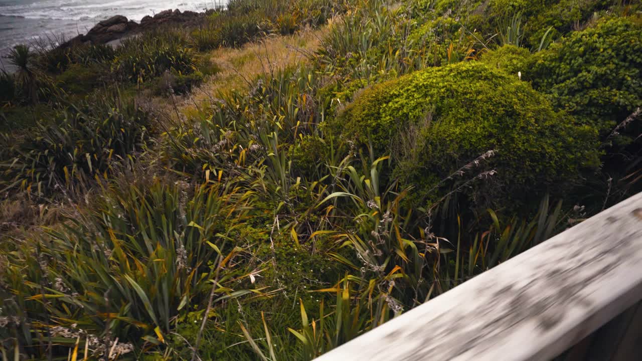 뉴질랜드 해안 산책로