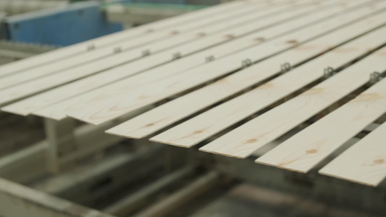 Listelli di legno che si muovono su un nastro trasportatore in una fabbrica.