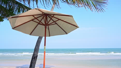 Sombrilla-Y-Palmera-En-La-Playa-Junto-Al-Mar-En-Un-Día-Perfecto